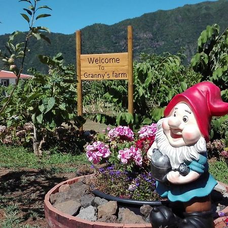 Penzion Granny'S Farm São Vicente Exteriér fotografie
