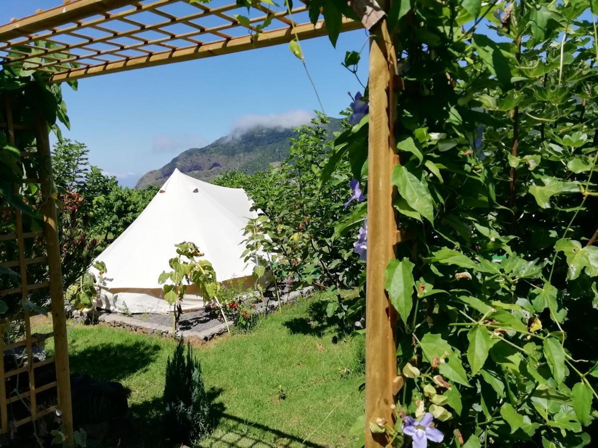 Penzion Granny'S Farm São Vicente Exteriér fotografie