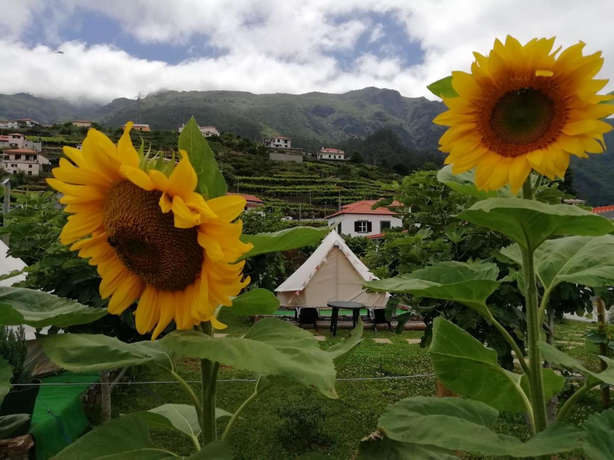Penzion Granny'S Farm São Vicente Exteriér fotografie