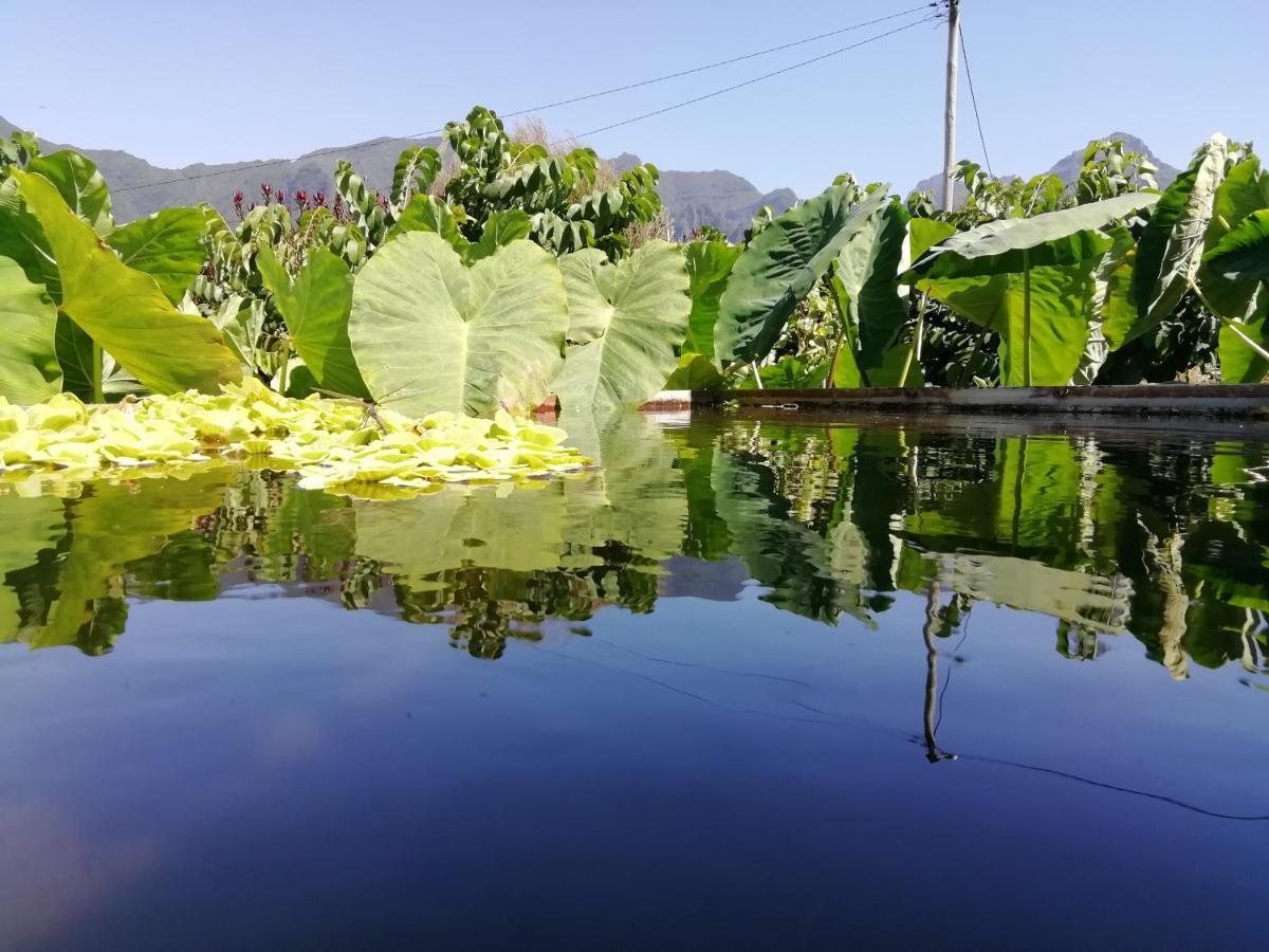 Penzion Granny'S Farm São Vicente Exteriér fotografie