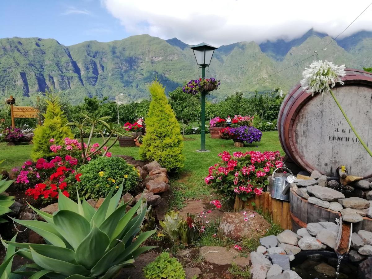 Penzion Granny'S Farm São Vicente Exteriér fotografie