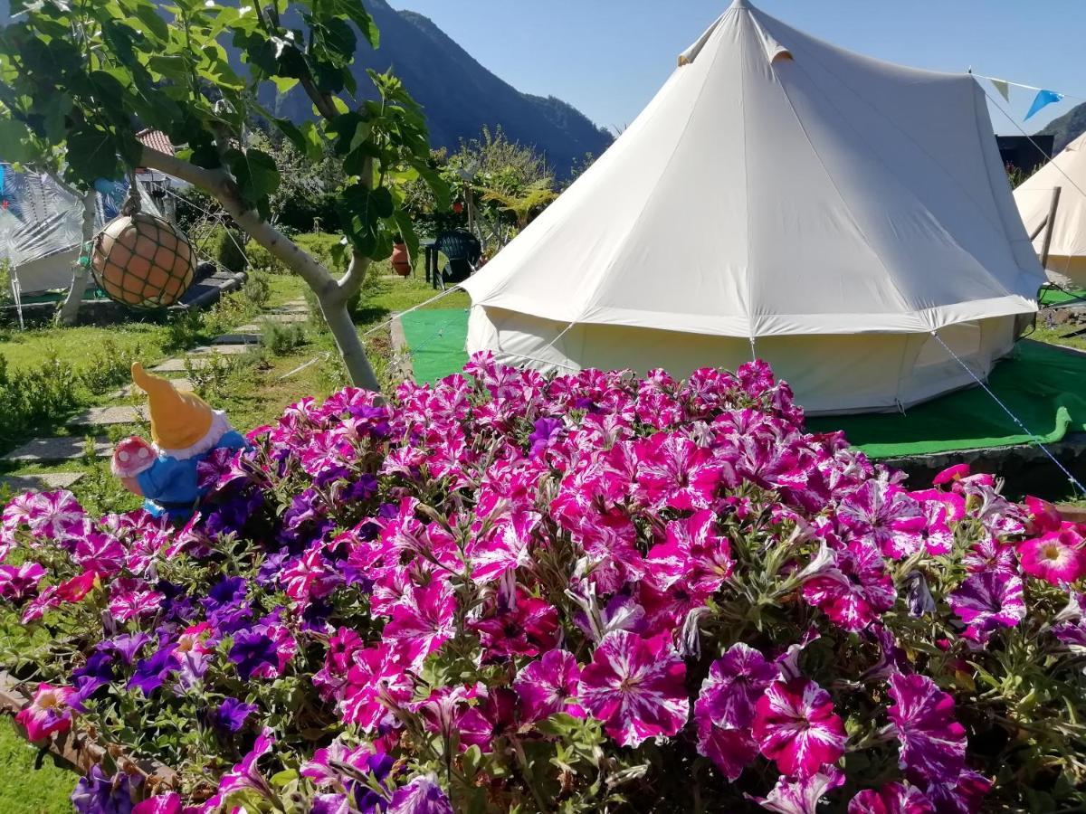Penzion Granny'S Farm São Vicente Exteriér fotografie