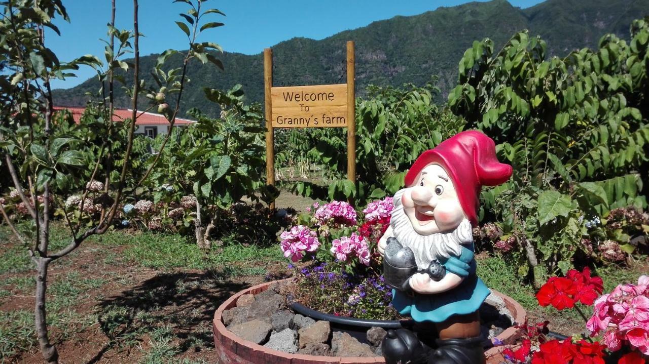 Penzion Granny'S Farm São Vicente Exteriér fotografie
