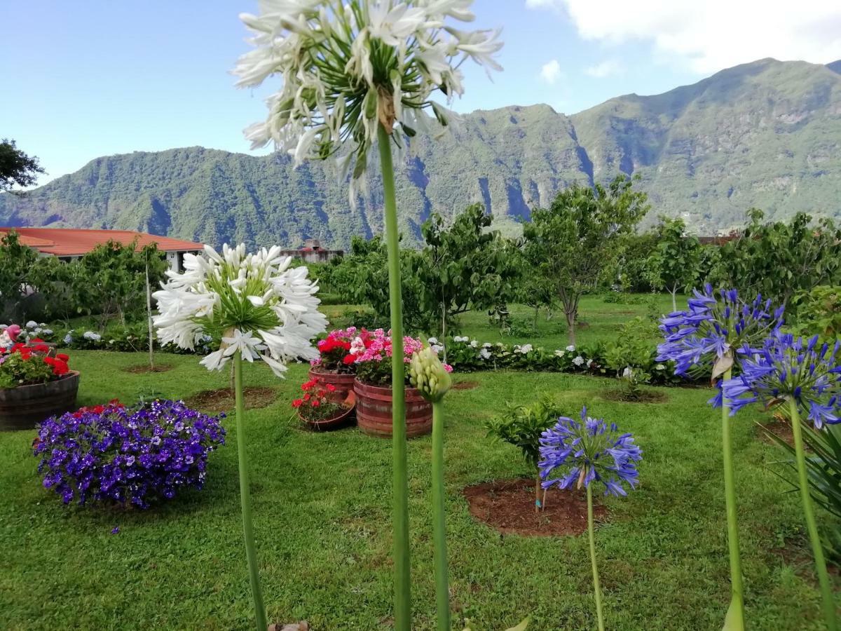 Penzion Granny'S Farm São Vicente Exteriér fotografie