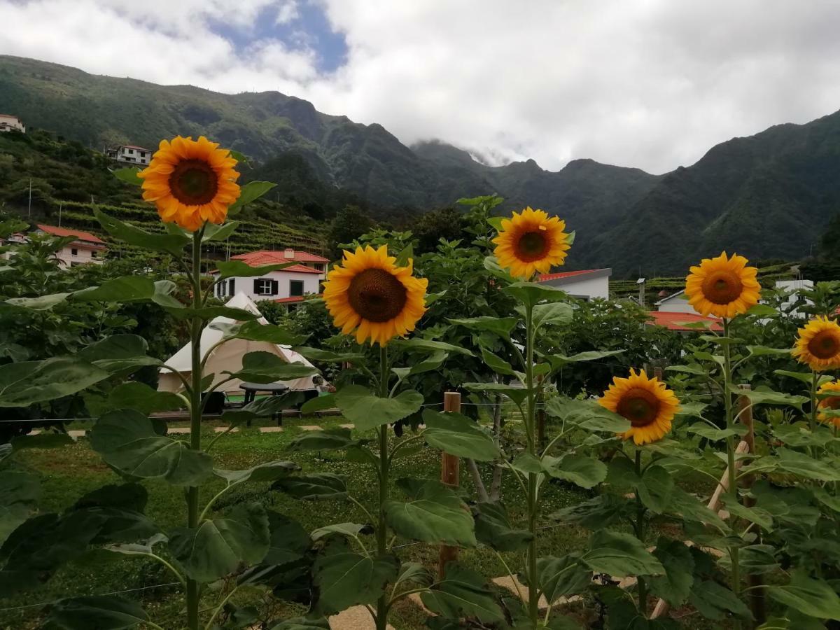 Penzion Granny'S Farm São Vicente Exteriér fotografie