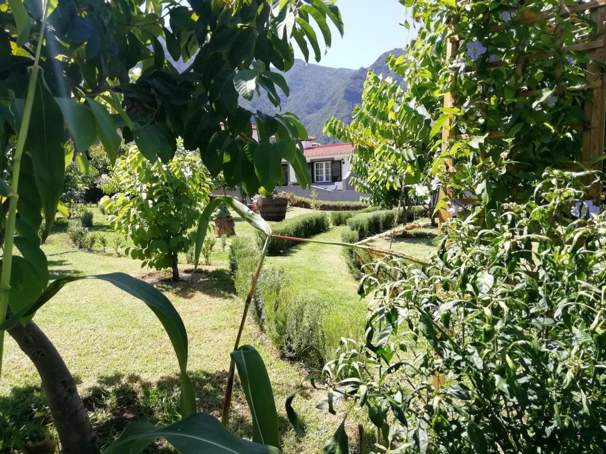 Penzion Granny'S Farm São Vicente Exteriér fotografie