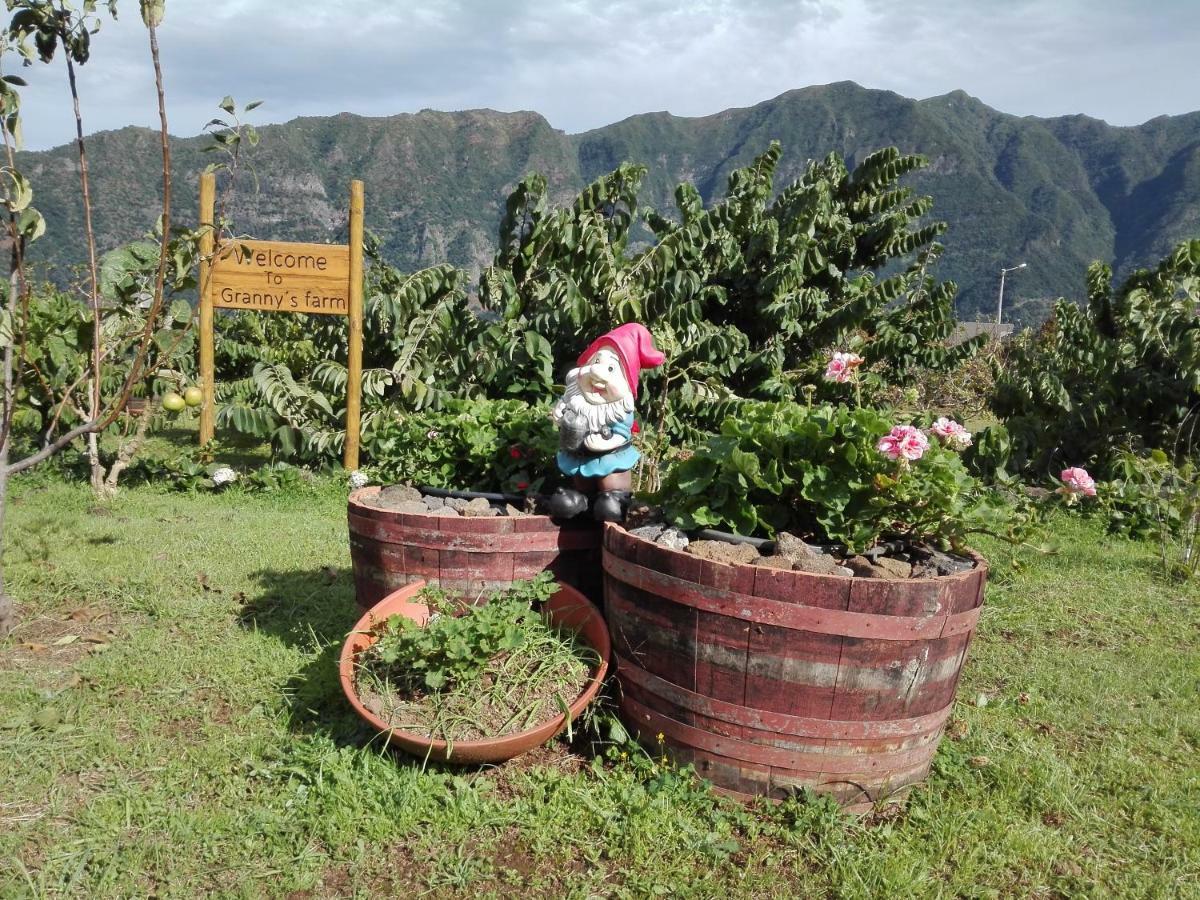 Penzion Granny'S Farm São Vicente Exteriér fotografie